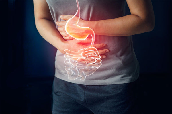 Person clutching stomach with digestive system illustration.