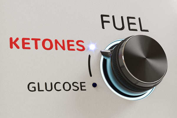 Fuel knob set to ketones for energy source selection
