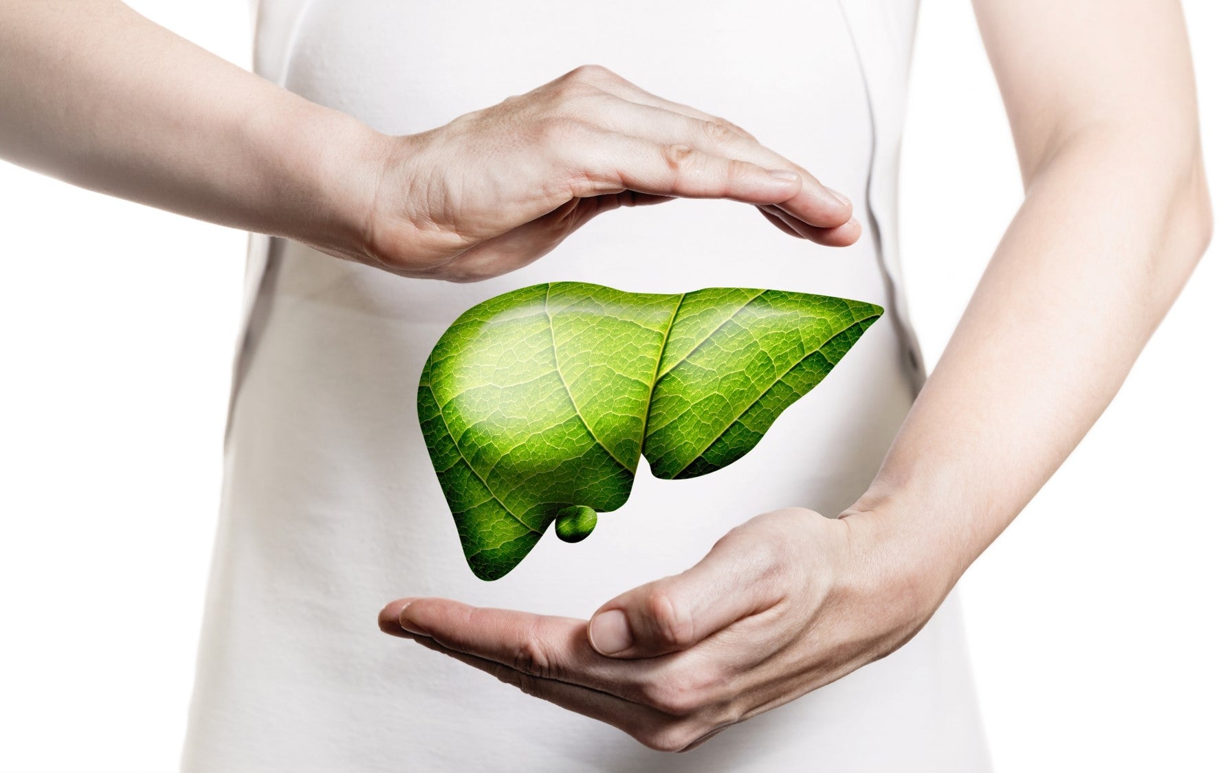 Person holding green leaf liver representing liver health.