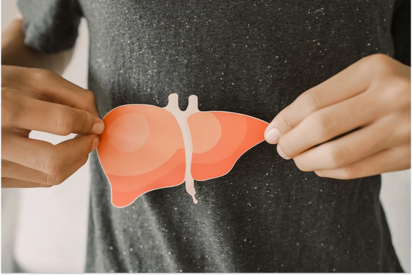 Person holding a liver illustration on a gray shirt.